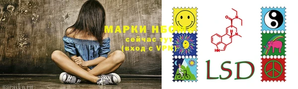соль ск Краснослободск