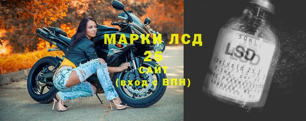 индика Красноперекопск