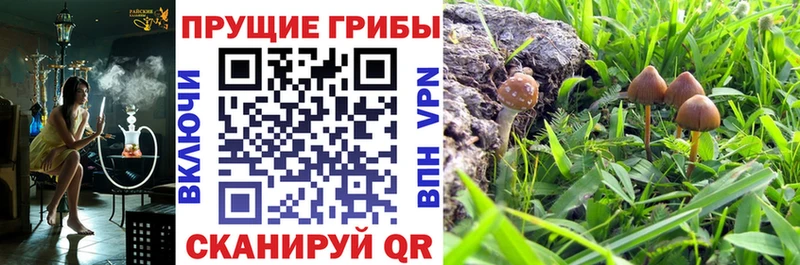 Галлюциногенные грибы Magic Shrooms Новоалтайск